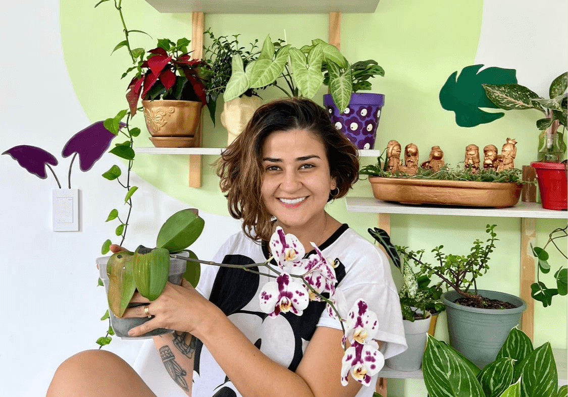 Portada de 3 plantas que hacen de mi habitación un refugio