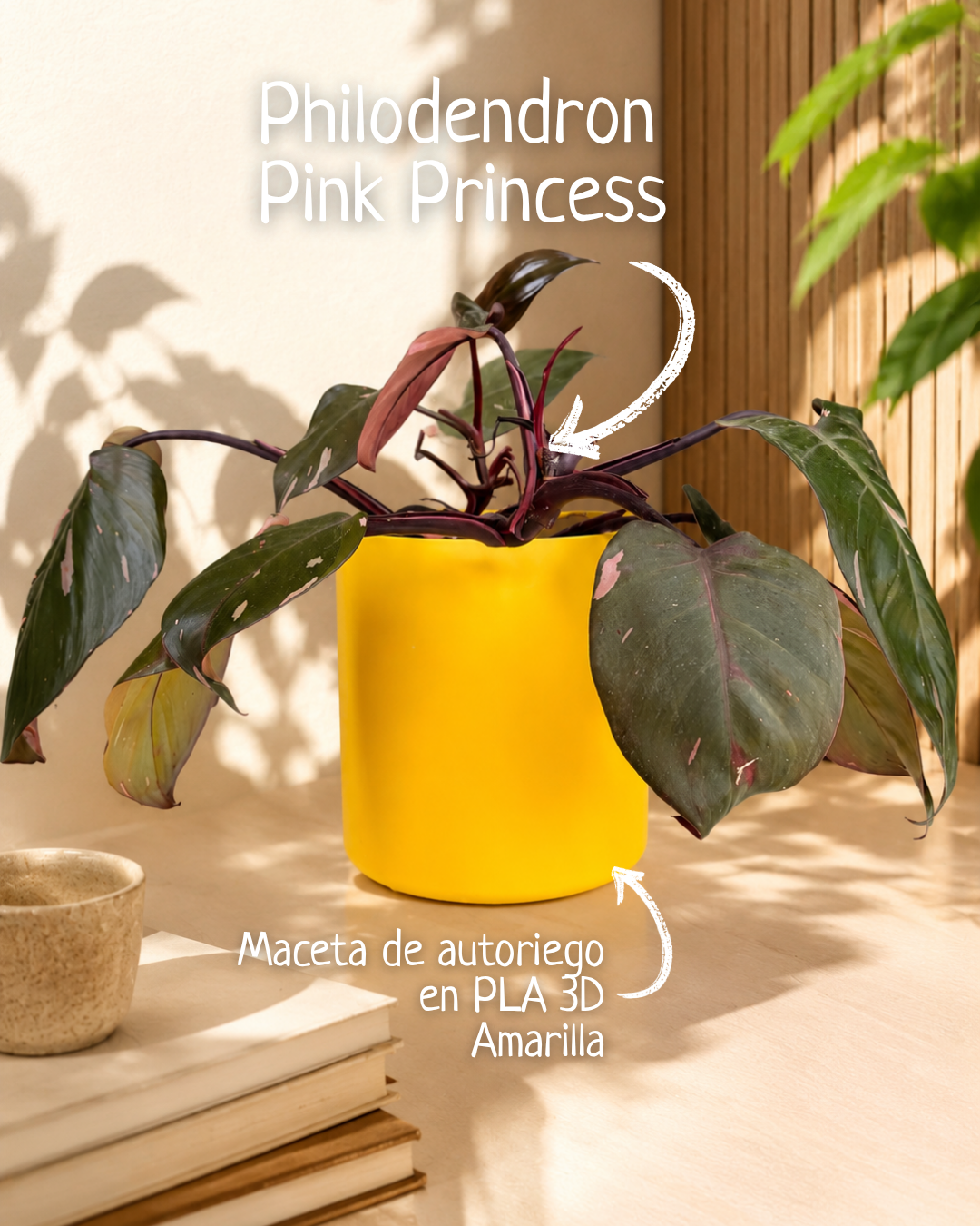 Philodendron Pink Princess con matero de autoriego amarillo en PLA 3D